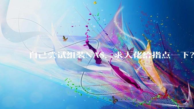 自己尝试组装NAS，求大佬给指点一下？