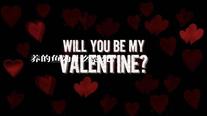 养的鱼为什么总死？