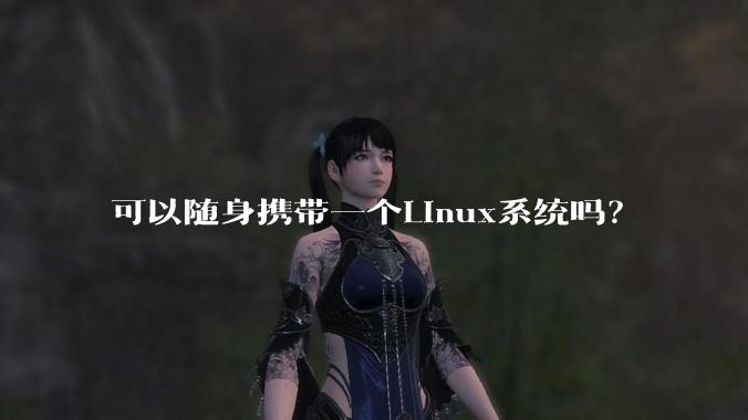 可以随身携带一个Linux系统吗？