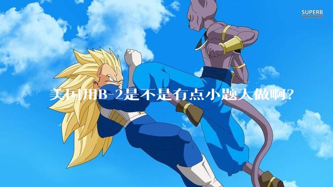 美国用B-2是不是有点小题大做啊？