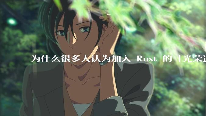为什么很多人认为加入 Rust 的「光荣进化」是一件坏事？