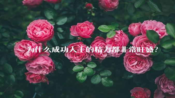 为什么成功人士的精力都非常旺盛？
