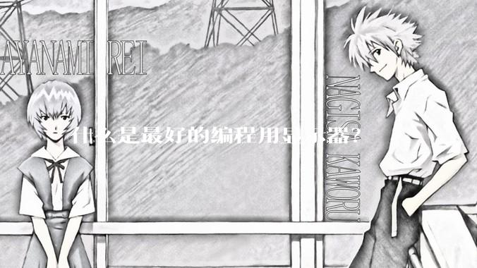 什么是最好的编程用显示器？