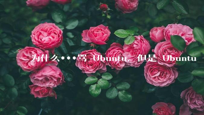 为什么***骂 Ubuntu，但是 Ubuntu 一直是所有 Linux 发行版中知名度、热度最高的？