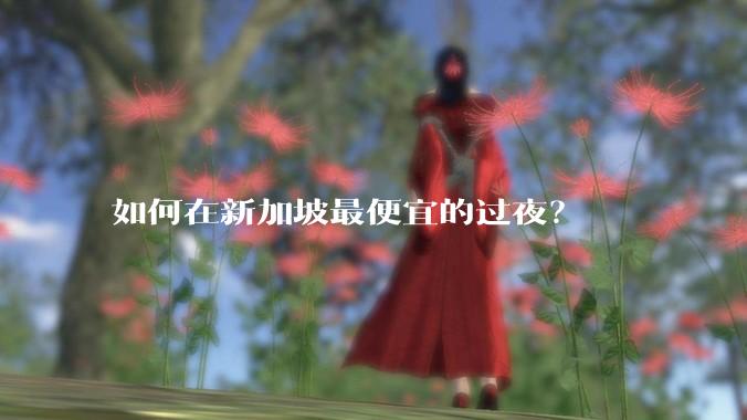 如何在新加坡最便宜的过夜？