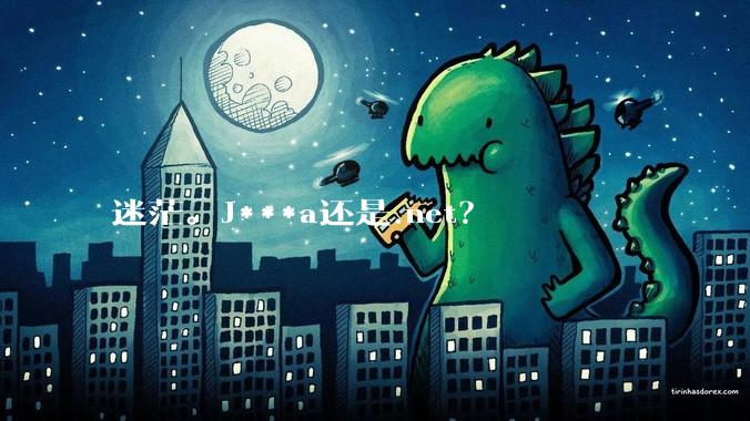 迷茫。J***a还是.net？