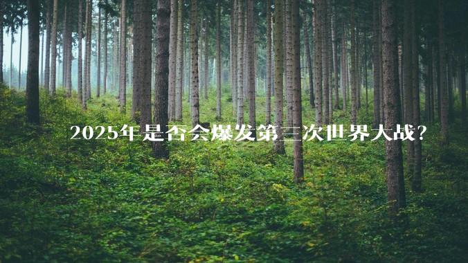 2025年是否会爆发第三次世界大战？