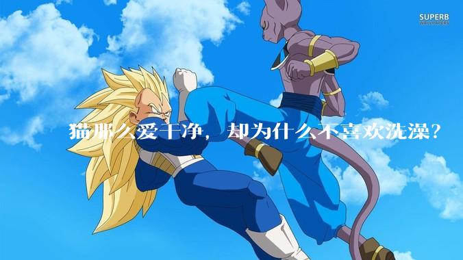 猫那么爱干净，却为什么不喜欢洗澡？